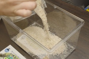 飼育ケースに底砂を入れる