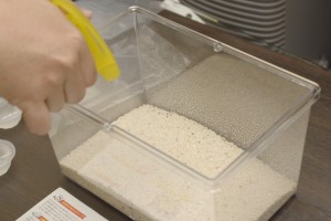 底砂を霧吹きで湿らせます